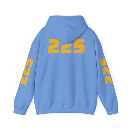 Louisiana Mindstate 225 Community Unisex Hoodie, Cozy Sweatshirt for Casual Wear, Perfect Gift for Friends, Unique Design for Every Season, Trendy Apparel